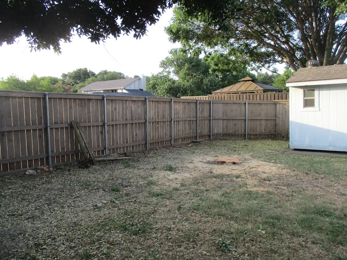 Cleared yard after professional tree removal in Lambertville
